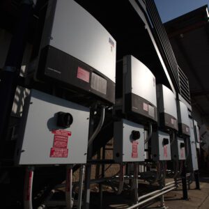 TCI-Culture--3 TCI Culture: Environmentally Friendly